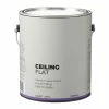 Premier Paint Interior Ceiling Latex Paint, Flat, White, 3.78-L/1-Gallon