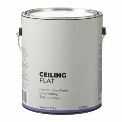 Premier Paint Interior Ceiling Latex Paint, Flat, White, 3.78-L/1-Gallon
