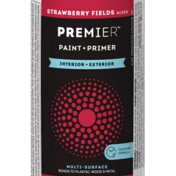 Premier Paint Premier Interior/Exterior Multi-Surface Aerosol Spray Paint & Primer, Gloss, 340-g