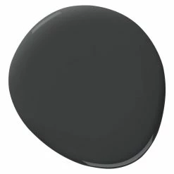 Premier Paint Premier Ready To Roll Interior Wall Paint, Eggshell, Pure Black, 3.78-L/1-Gallon -Aqua-Dynamic Store premier ready to roll int paint pure black 663fc494 5292 4ee1 9fe7 4e2929f0e3ed