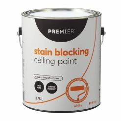 Premier Paint Premier Stain Blocking Interior Ceiling Paint, White, 3.78-L/1-Gallon